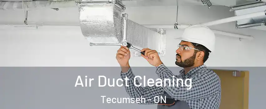  Air Duct Cleaning Tecumseh - ON