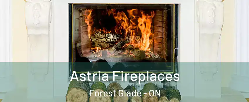  Astria Fireplaces Forest Glade - ON