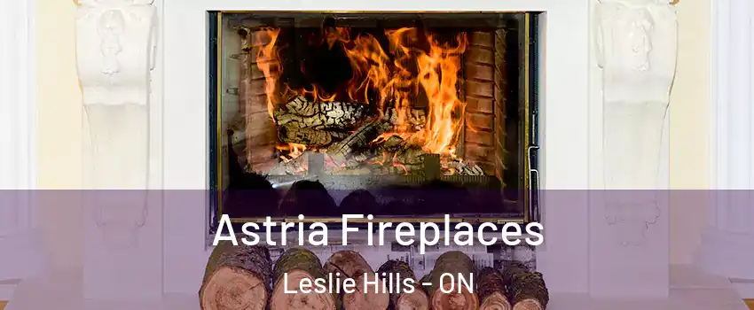  Astria Fireplaces Leslie Hills - ON