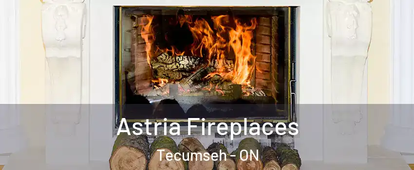  Astria Fireplaces Tecumseh - ON