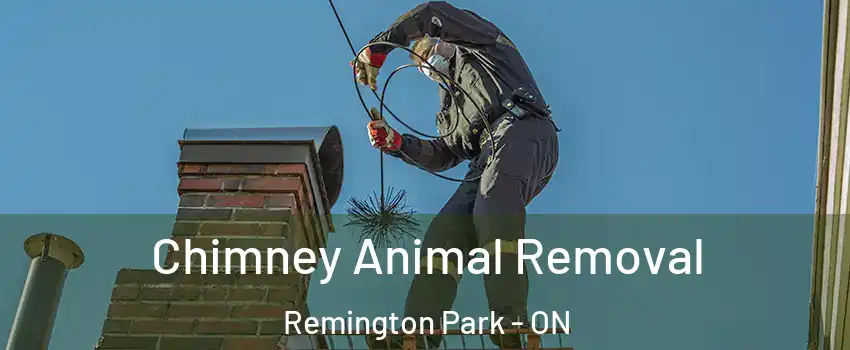 Chimney Animal Removal Remington Park - ON