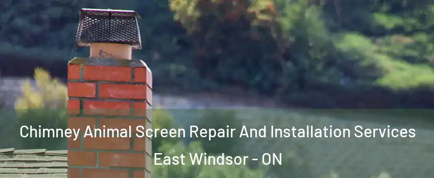  Chimney Animal Screen Repair And Installation Services East Windsor - ON