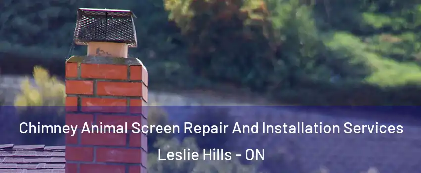  Chimney Animal Screen Repair And Installation Services Leslie Hills - ON