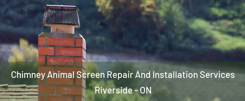  Chimney Animal Screen Repair And Installation Services Riverside - ON