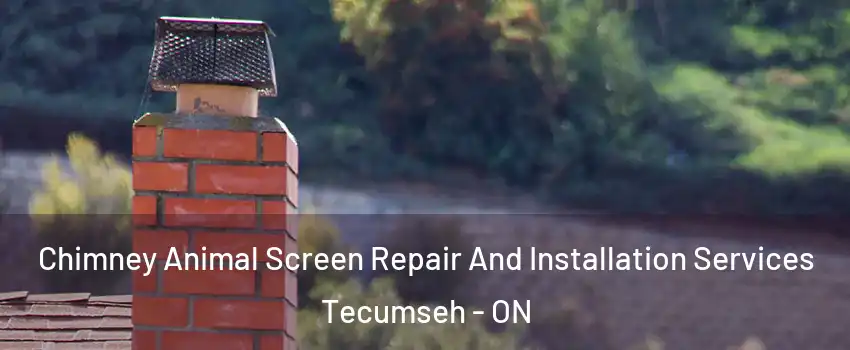  Chimney Animal Screen Repair And Installation Services Tecumseh - ON