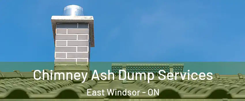  Chimney Ash Dump Services East Windsor - ON