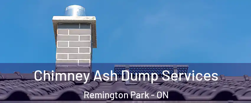  Chimney Ash Dump Services Remington Park - ON