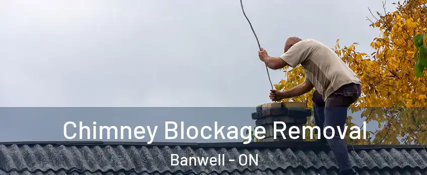  Chimney Blockage Removal Banwell - ON