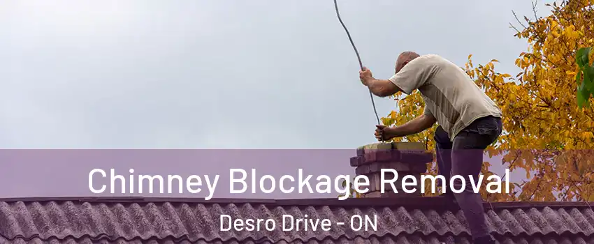  Chimney Blockage Removal Desro Drive - ON