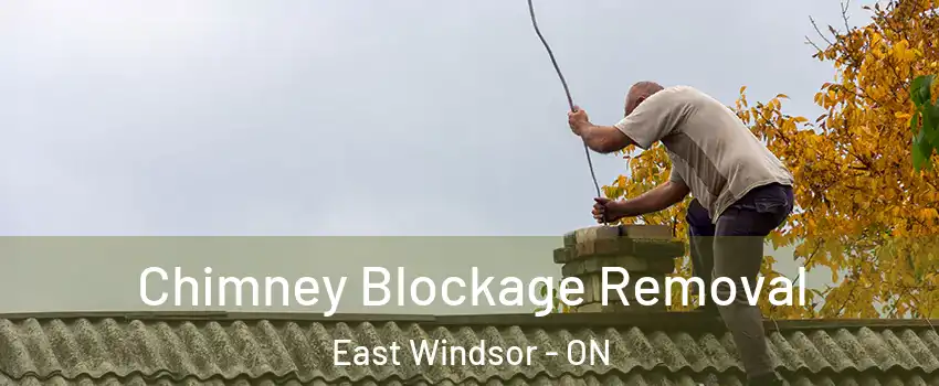  Chimney Blockage Removal East Windsor - ON