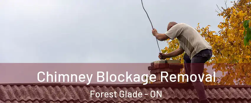  Chimney Blockage Removal Forest Glade - ON