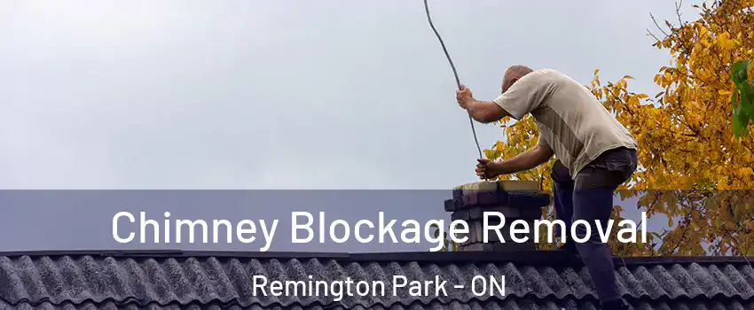  Chimney Blockage Removal Remington Park - ON