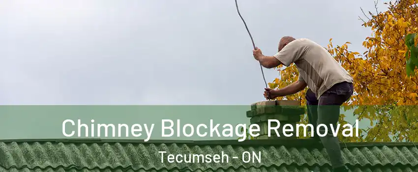  Chimney Blockage Removal Tecumseh - ON