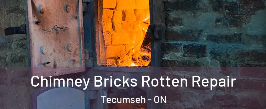  Chimney Bricks Rotten Repair Tecumseh - ON