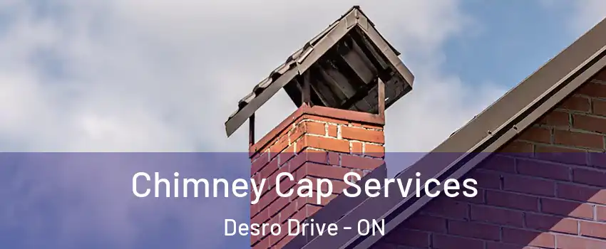  Chimney Cap Services Desro Drive - ON