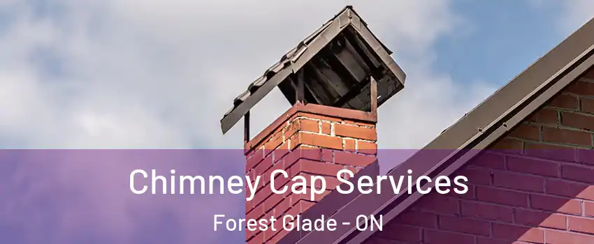  Chimney Cap Services Forest Glade - ON