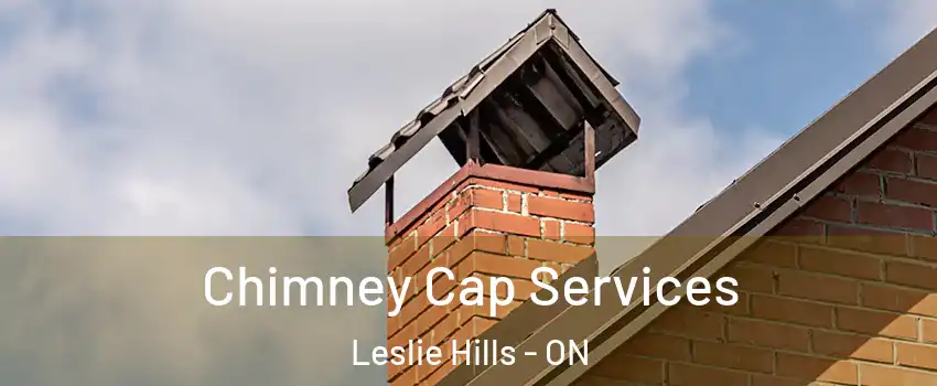  Chimney Cap Services Leslie Hills - ON