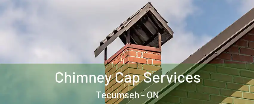  Chimney Cap Services Tecumseh - ON