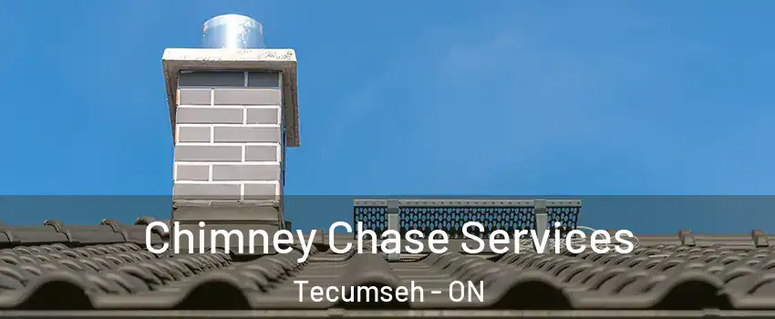  Chimney Chase Services Tecumseh - ON