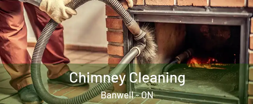  Chimney Cleaning Banwell - ON