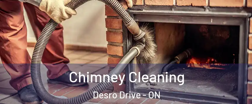  Chimney Cleaning Desro Drive - ON