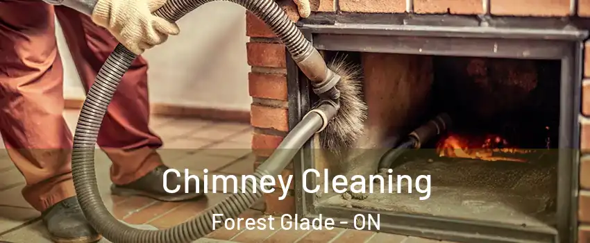 Chimney Cleaning Forest Glade - ON