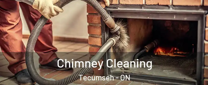  Chimney Cleaning Tecumseh - ON