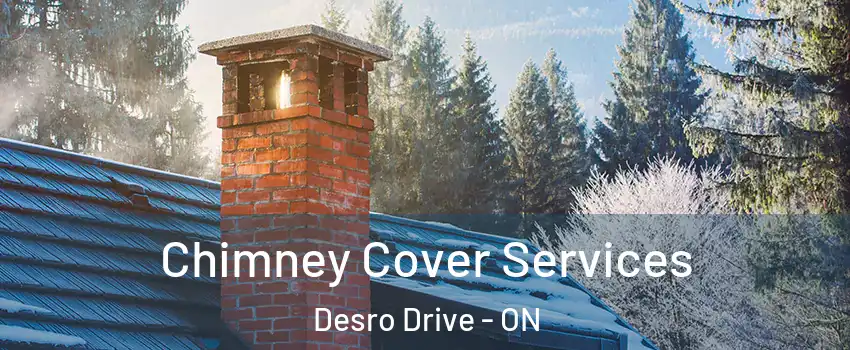  Chimney Cover Services Desro Drive - ON