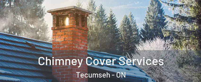  Chimney Cover Services Tecumseh - ON