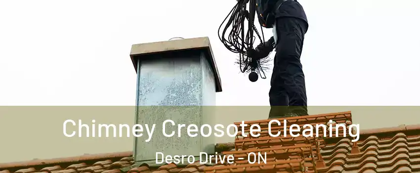  Chimney Creosote Cleaning Desro Drive - ON