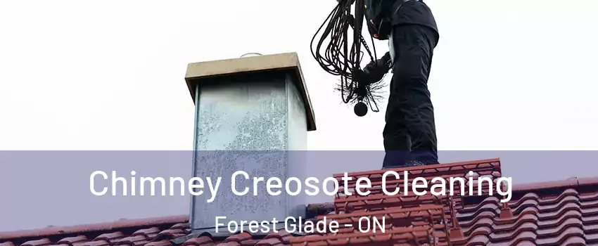  Chimney Creosote Cleaning Forest Glade - ON