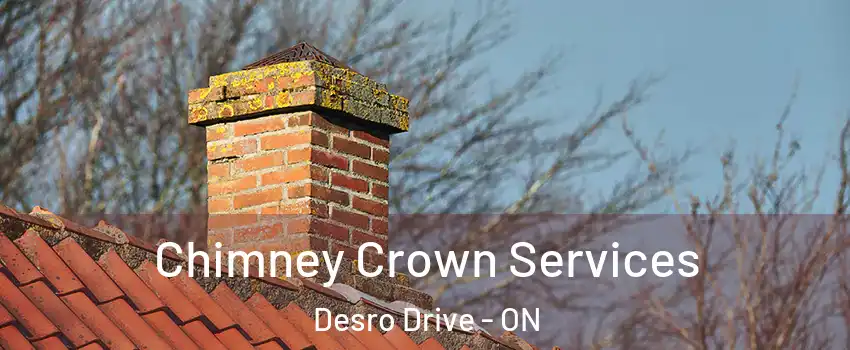  Chimney Crown Services Desro Drive - ON