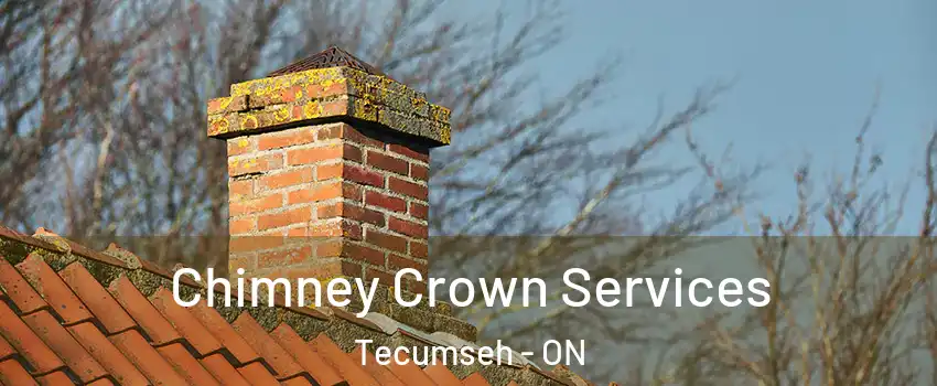  Chimney Crown Services Tecumseh - ON