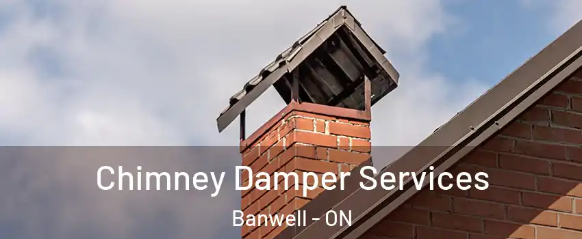  Chimney Damper Services Banwell - ON