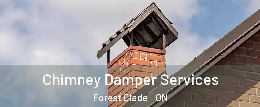  Chimney Damper Services Forest Glade - ON
