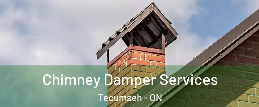  Chimney Damper Services Tecumseh - ON