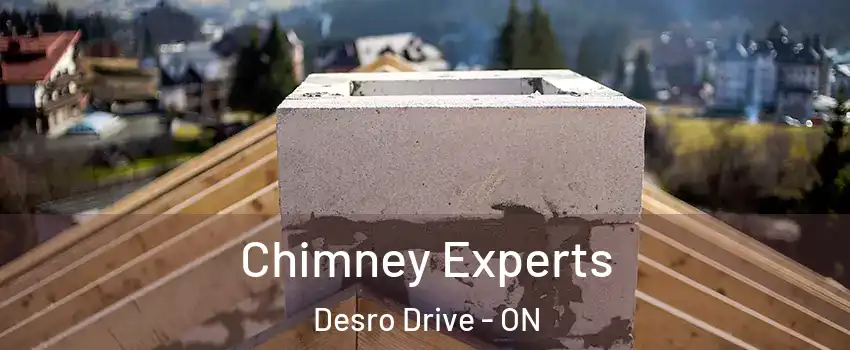 Chimney Experts Desro Drive - ON