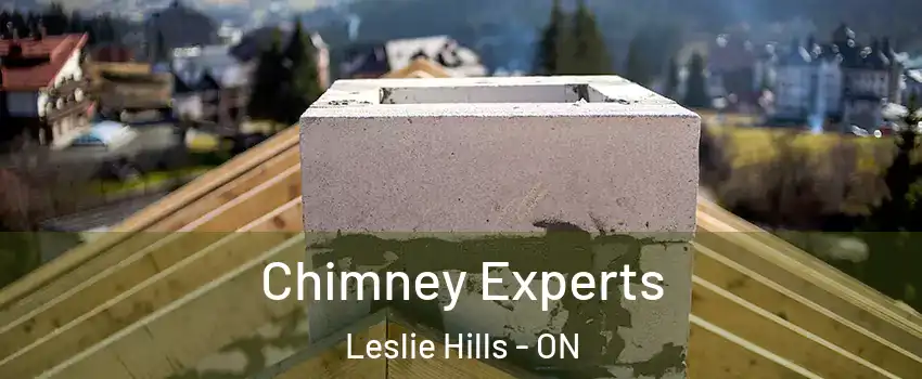 Chimney Experts Leslie Hills - ON