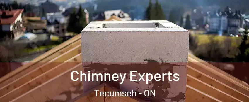 Chimney Experts Tecumseh - ON