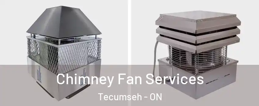  Chimney Fan Services Tecumseh - ON