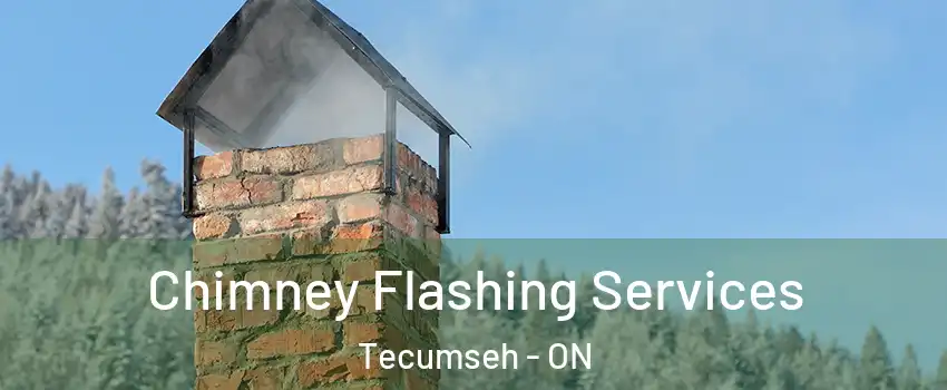 Chimney Flashing Services Tecumseh - ON