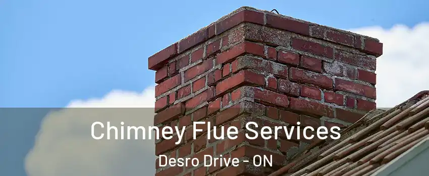  Chimney Flue Services Desro Drive - ON