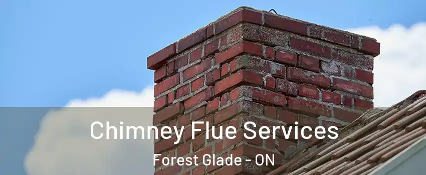  Chimney Flue Services Forest Glade - ON