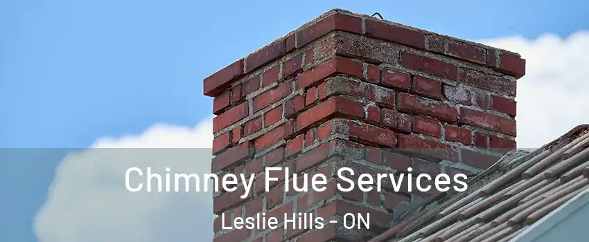  Chimney Flue Services Leslie Hills - ON