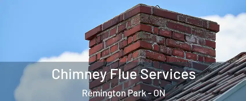  Chimney Flue Services Remington Park - ON