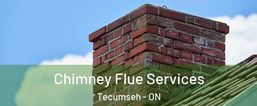  Chimney Flue Services Tecumseh - ON