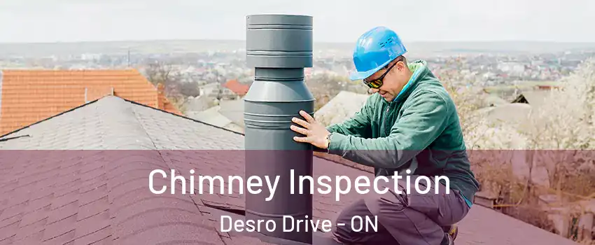  Chimney Inspection Desro Drive - ON