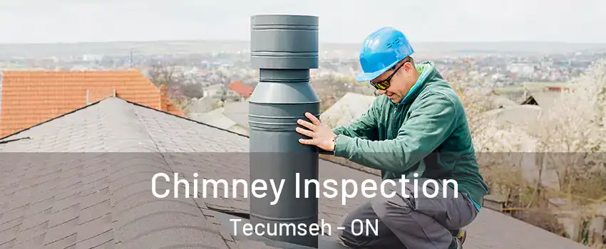  Chimney Inspection Tecumseh - ON