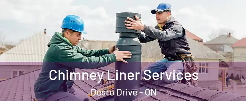  Chimney Liner Services Desro Drive - ON