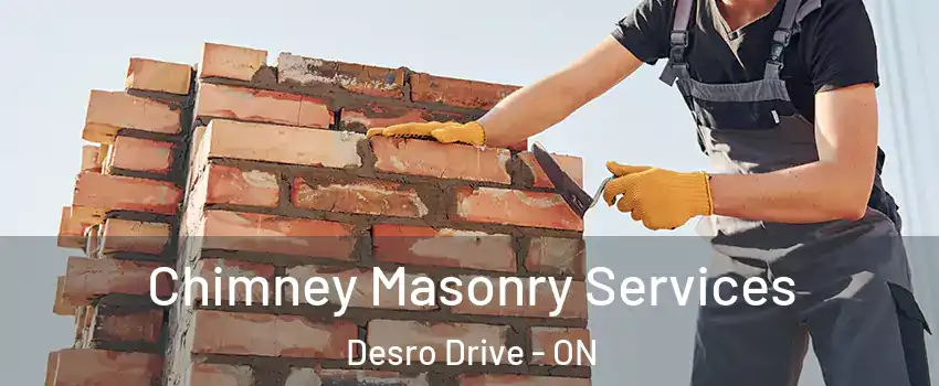  Chimney Masonry Services Desro Drive - ON